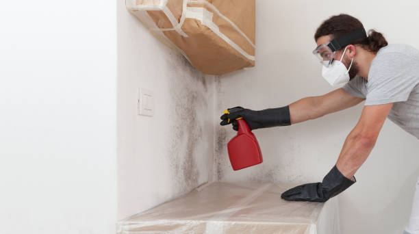 Professional Bathroom Mold Removal technician working in Preston, MD